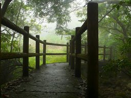Spring Hiking 1012